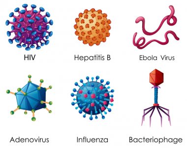 Six types of viruses on white background clipart