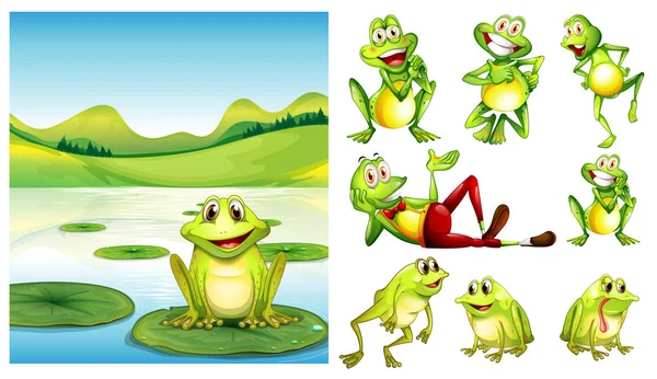 Сцена с лягушкой в пруду и другими персонажами лягушки — стоковый вектор