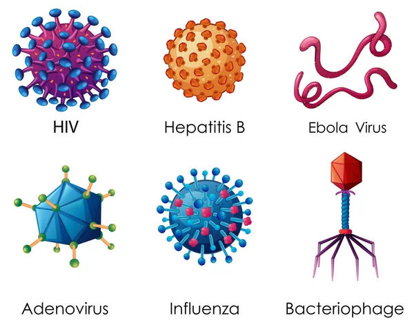 Sex typer av virus på vit bakgrund — Stock vektor