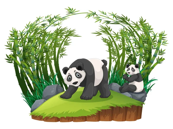 Två pandor i bambuskog — Stock vektor