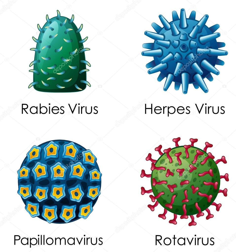 Sintético 98+ Imagen Imagenes De Tipos De Virus De Computadora El último