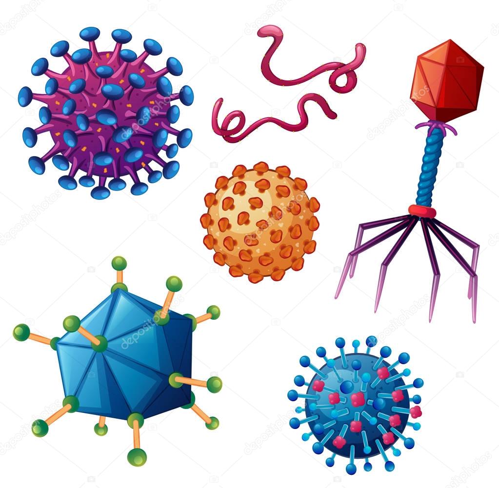 Different types of viruses on white background