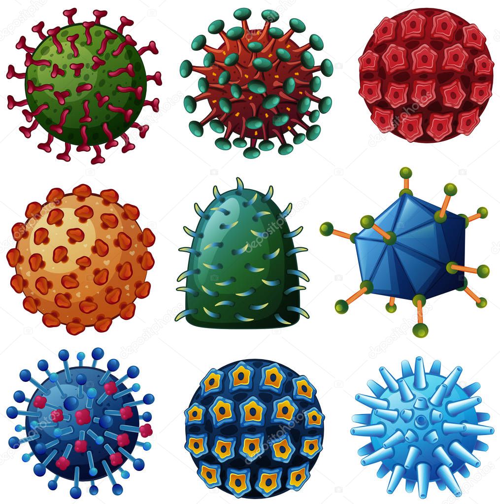 Different types of viruses