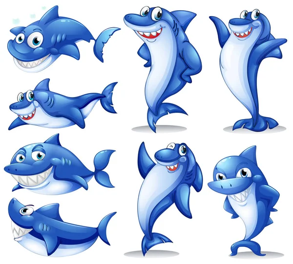 鲨鱼在不同的位置 — 图库矢量图片