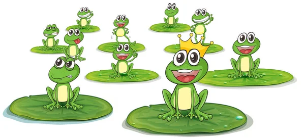 Happy frogs on lotus leaves — Stock Vector