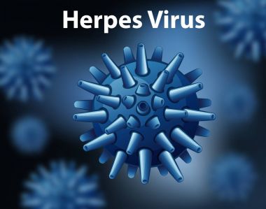 Herpes virüsü yakın çekim