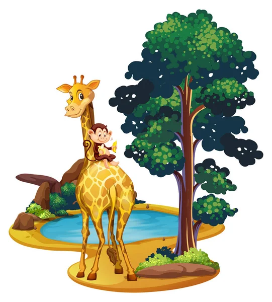 Girafa e macaco junto à lagoa — Vetor de Stock