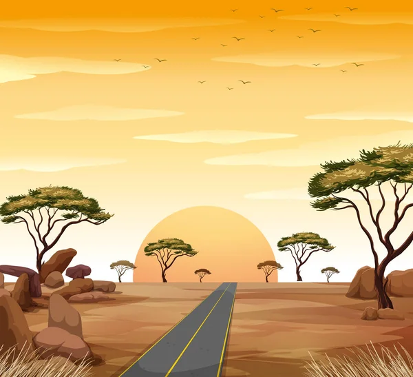 Scène de savane avec route et coucher de soleil — Image vectorielle