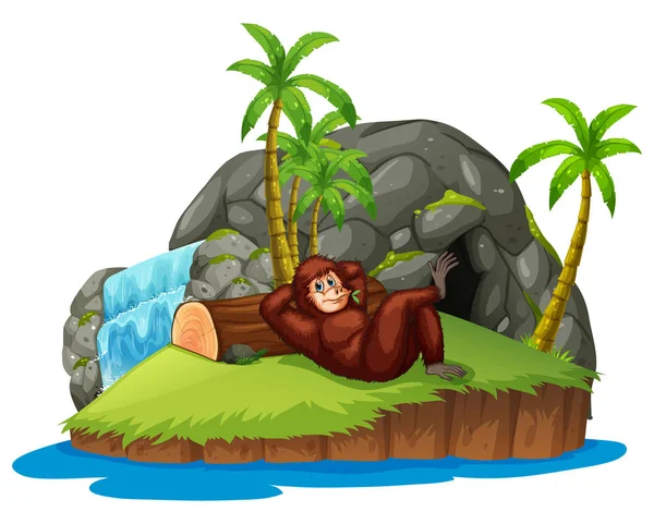 Scimmia sull'isola — Vettoriale Stock