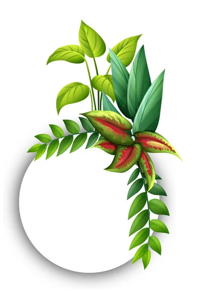 Plantilla de frontera con hojas verdes — Vector de stock
