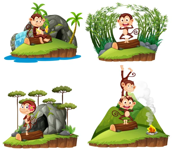 Four scenes with monkey in forest — Stock Vector