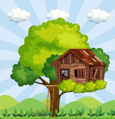 Treehouse Park ile sahne