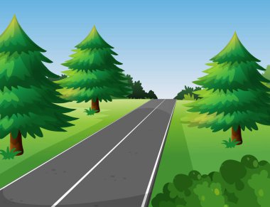 Yol boyunca çam ağaçları ile sahne