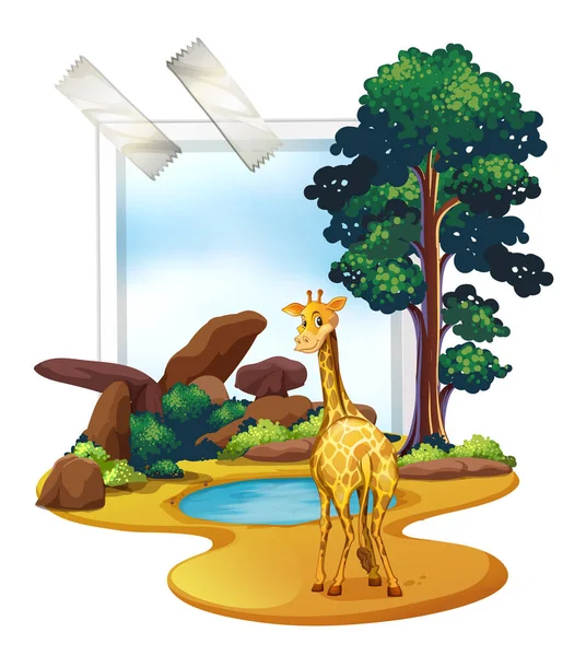 Giraffe standing in the savanna field — Stock Vector