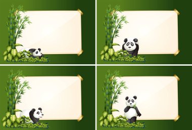 Dört şablonları panda ve bambu ile sınır