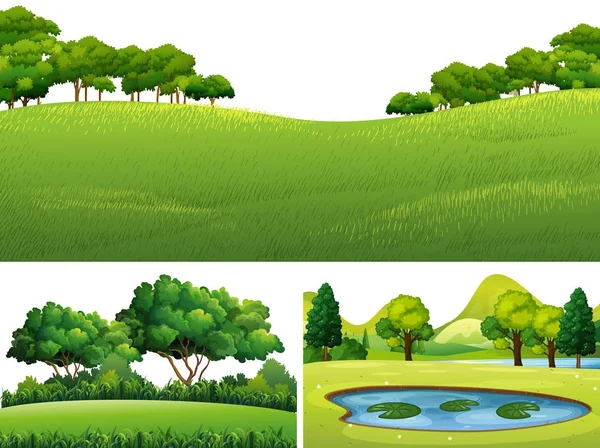 Drei Szenen mit grünem Rasen und Teich — Stockvektor