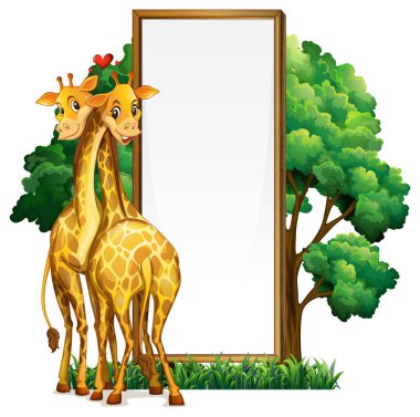 İki zürafa ve boş beyaz tahta