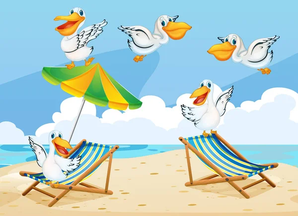Scena con uccelli pellicano sulla spiaggia — Vettoriale Stock