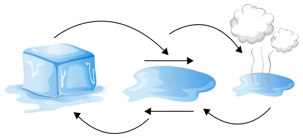 물의 다른 상태를 보여 주는 다이어그램 — 스톡 벡터