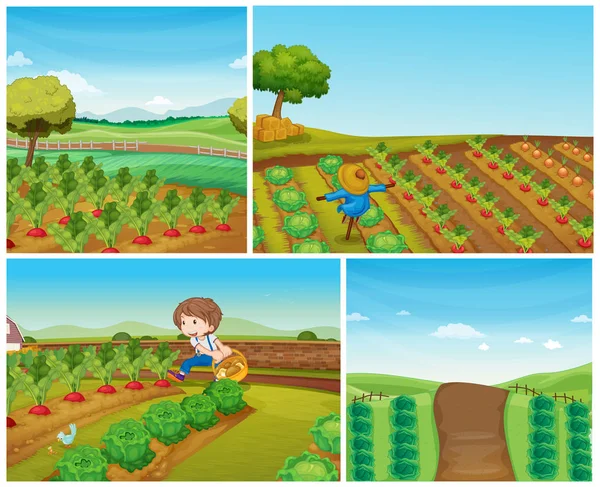 สี่ฉากฟาร์มที่มีผักและหุ่นไล่กา — ภาพเวกเตอร์สต็อก