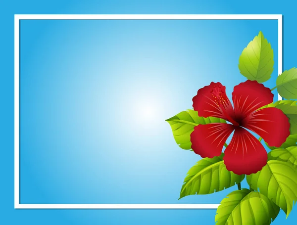 Plantilla de fondo azul con flor de hibisco — Vector de stock