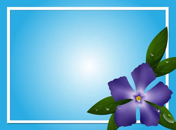 青ツルニチニチソウの花と枠線テンプレート — ストックベクタ