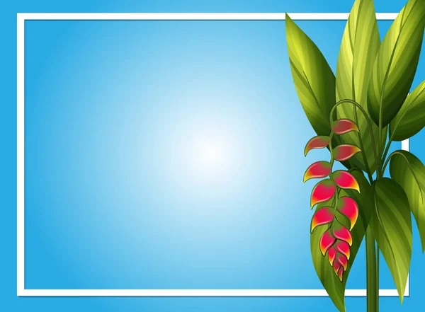 Bordüre Vorlage mit Paradiesvogel Blume — Stockvektor
