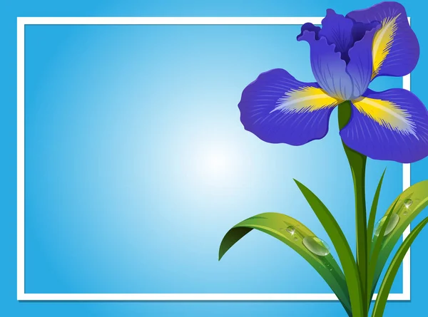 Plantilla de frontera con iris azul — Vector de stock