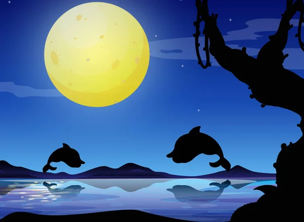 Silhouette background scene with dolphin at night — Stock Vector