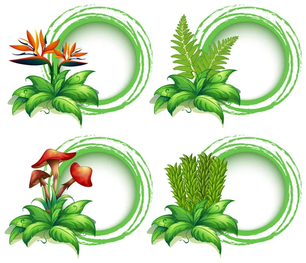 Шаблоны границ с листьями и цветами — стоковый вектор