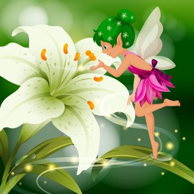 Sevimli peri uçan beyaz zambak