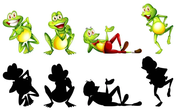 Frogs in four actions — Stock Vector