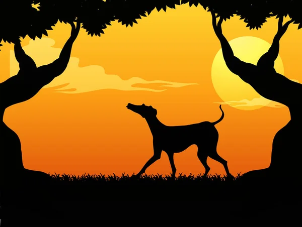 Silueta escena con perro en el parque al atardecer — Vector de stock