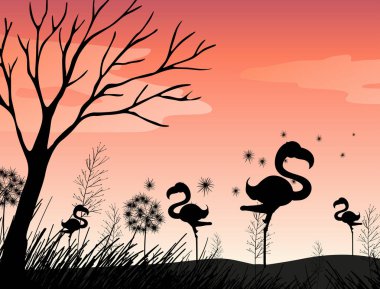 Flamingo alanında ile sahne siluet
