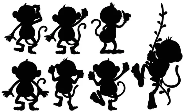 Sziluettjét majmok a különböző álláspontok — Stock Vector