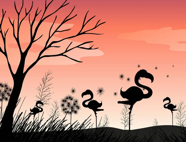 Silhouette scene with flamingo in the field — Stock Vector