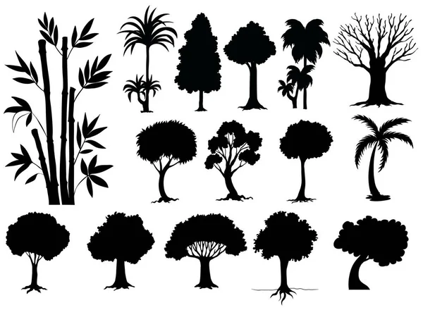 Silhueta diferentes tipos de árvores — Vetor de Stock