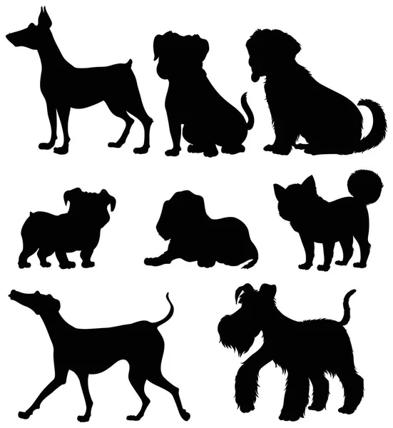 Diferentes tipos de perros en silueta — Vector de stock