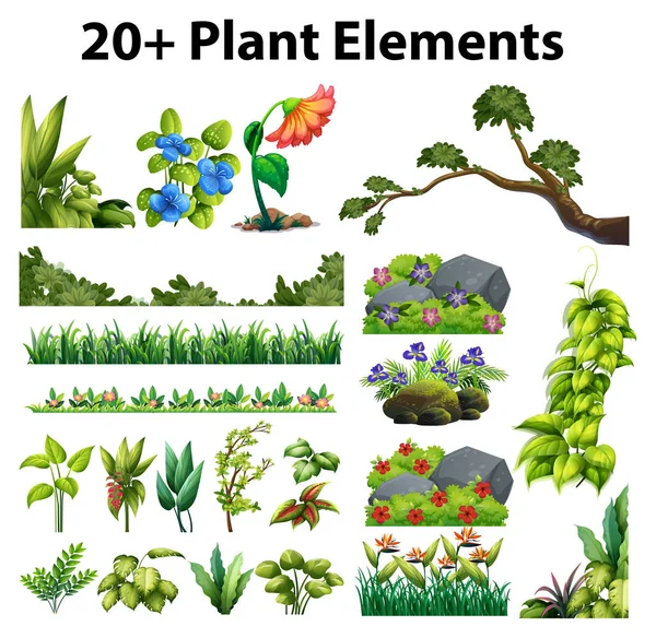 Diferentes tipos de flores e árvores —  Vetores de Stock