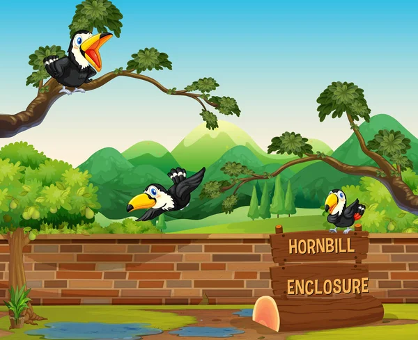 Scene with three hornbill birds in zoo — Stock Vector