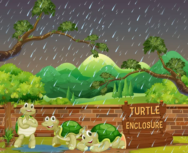 Zoo escena con tres tortugas en la lluvia — Vector de stock