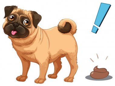 Köpek ve beyaz arka plan üzerinde kaka