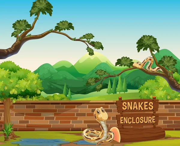 Dierentuin scène met de slangen op moment van de dag — Stockvector