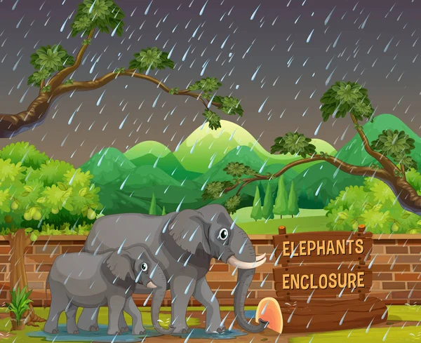 雨の日の象で動物園シーン ロイヤリティフリーのストックイラスト