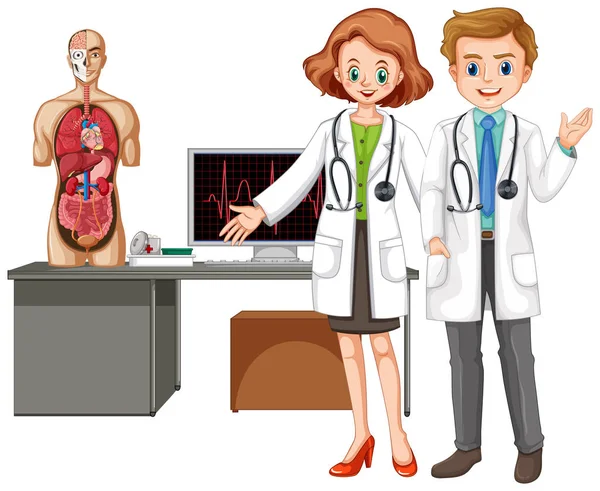 Médicos con anatomía humana sobre fondo blanco — Vector de stock