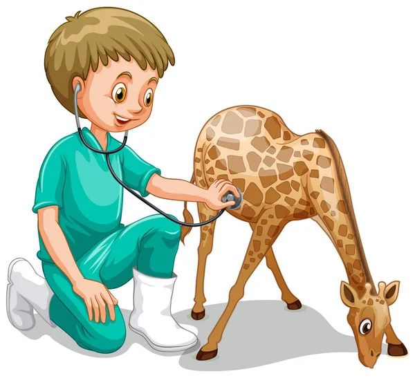 A Male Veterinarian Check Up Giraffe — Stock Vector