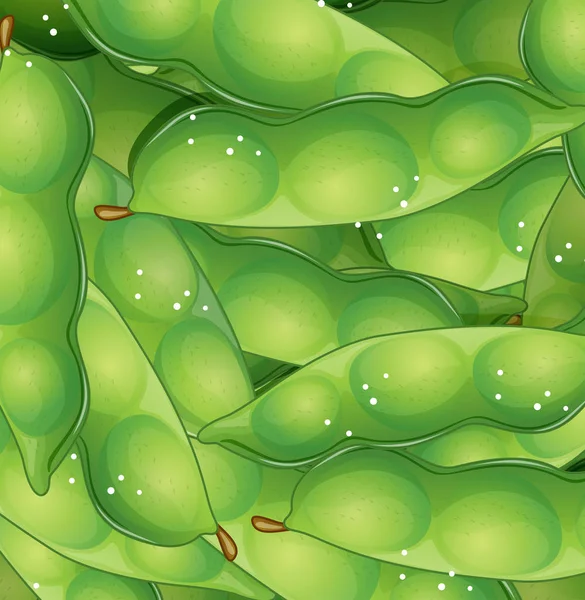유기농 녹색 완두콩 원활한 서식 파일 — 스톡 벡터