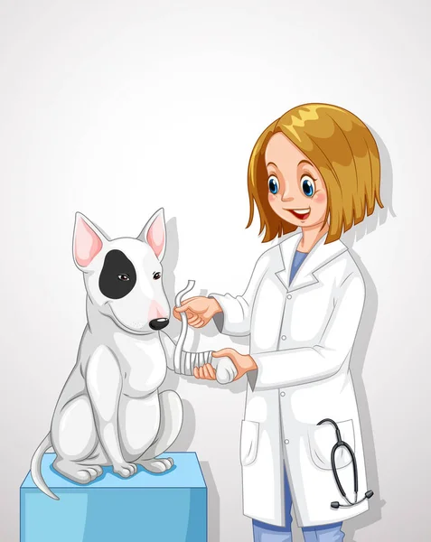 Veterinarian Doctor Helping a Dog — Stock Vector