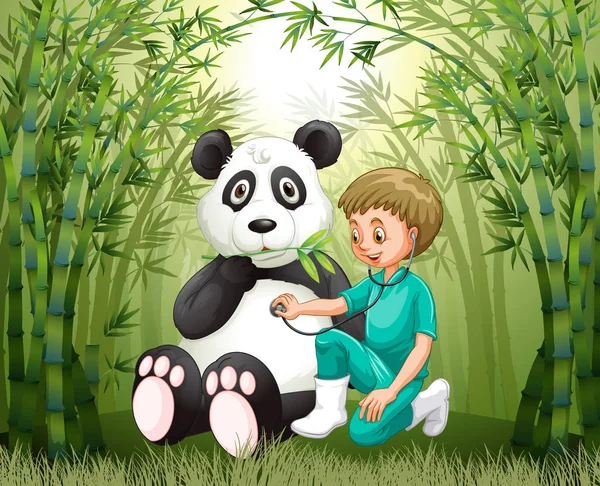 Médico veterinario y panda en el bosque de bambú — Vector de stock