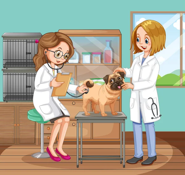 Veterinarian Doctors Helping a Dog — Stock Vector